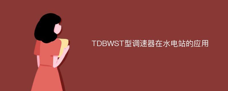 TDBWST型调速器在水电站的应用
