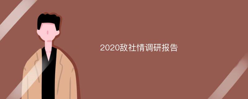 2020敌社情调研报告