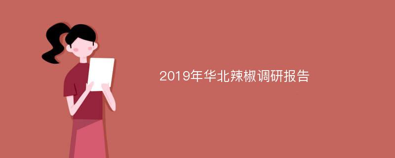 2019年华北辣椒调研报告